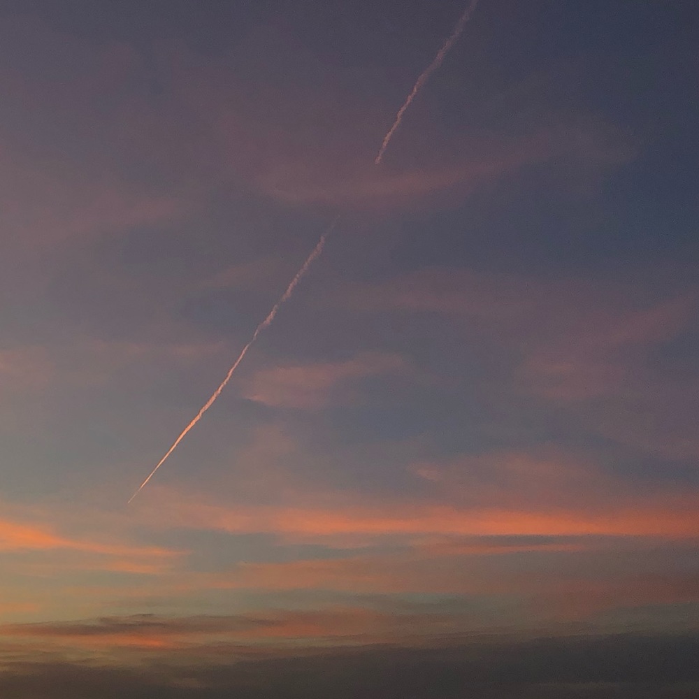 Meet your Posher, Madi